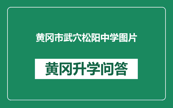 黄冈市武穴松阳中学图片