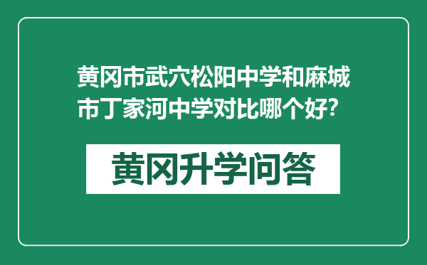 黄冈市武穴松阳中学和麻城市丁家河中学对比哪个好？