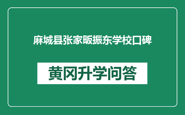 麻城县张家畈振东学校口碑