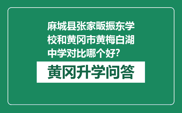 麻城县张家畈振东学校和黄冈市黄梅白湖中学对比哪个好？
