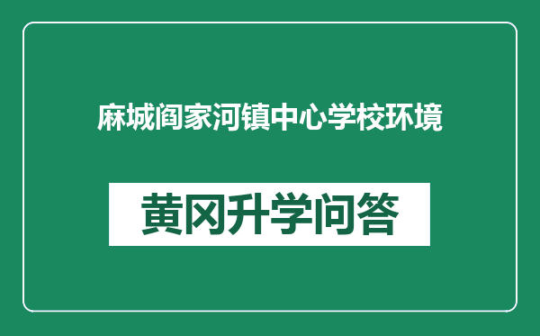 麻城阎家河镇中心学校环境