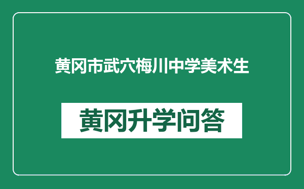 黄冈市武穴梅川中学美术生