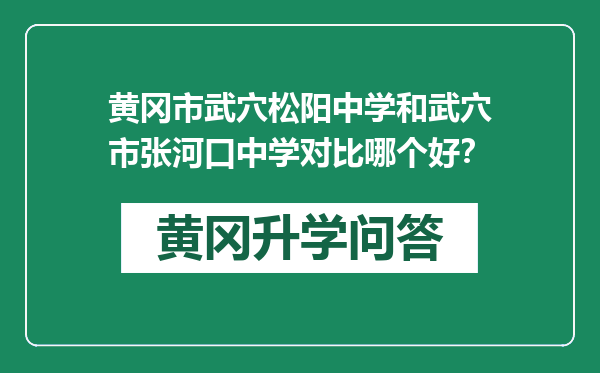 黄冈市武穴松阳中学和武穴市张河口中学对比哪个好？