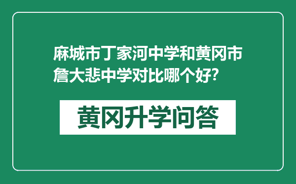 麻城市丁家河中学和黄冈市詹大悲中学对比哪个好？