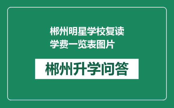 郴州明星学校复读学费一览表图片