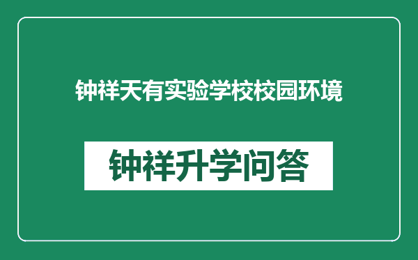 钟祥天有实验学校校园环境