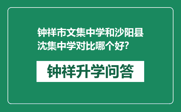 钟祥市文集中学和沙阳县沈集中学对比哪个好？