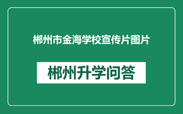 郴州市金海学校宣传片图片