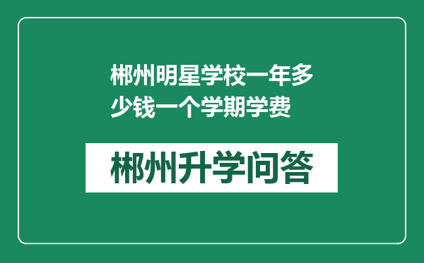 郴州明星学校一年多少钱一个学期学费