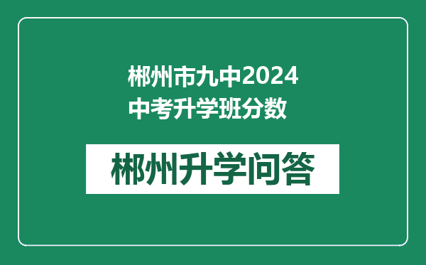 郴州市九中2024中考升学班分数