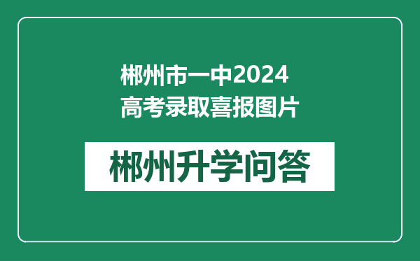 郴州市一中2024高考录取喜报图片