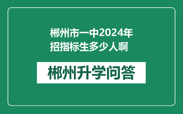 郴州市一中2024年招指标生多少人啊