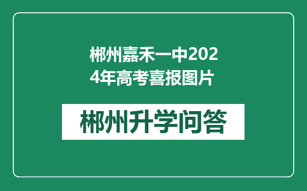 郴州嘉禾一中2024年高考喜报图片