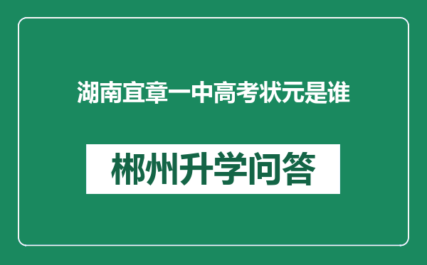 湖南宜章一中高考状元是谁