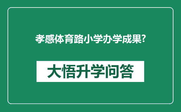 孝感体育路小学办学成果?