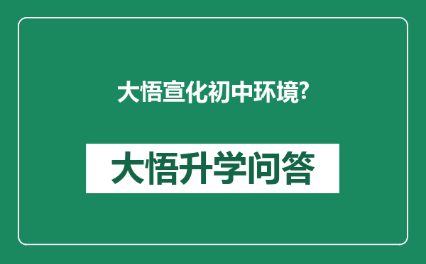 大悟宣化初中环境?