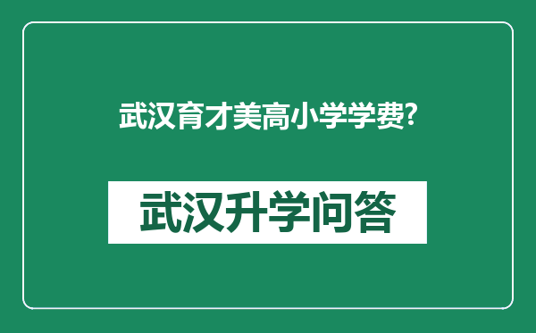 武汉育才美高小学学费?