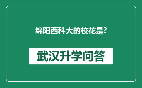 绵阳西科大的校花是?