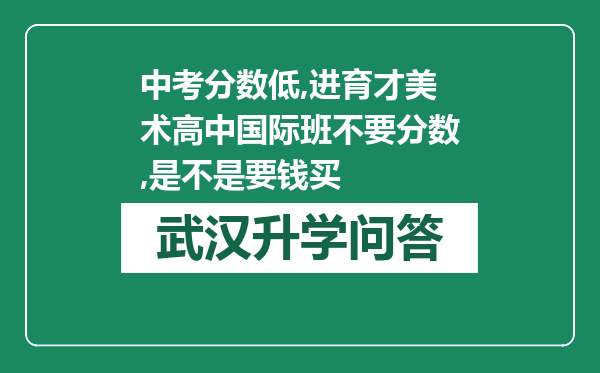 中考分数低,进育才美术高中国际班不要分数,是不是要钱买
