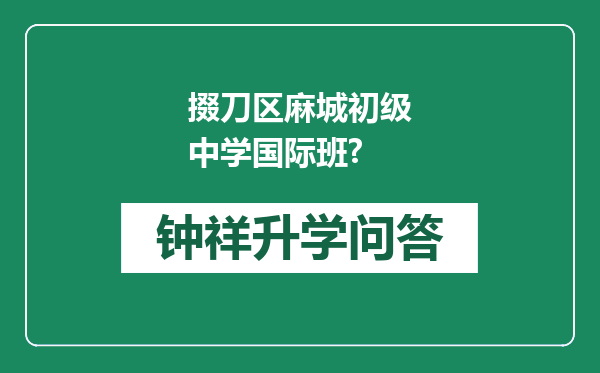 掇刀区麻城初级中学国际班?