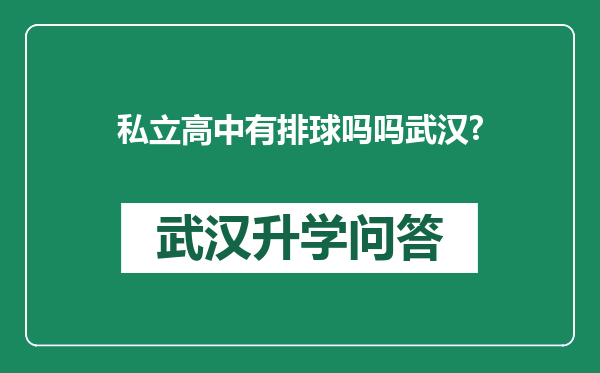 私立高中有排球吗吗武汉?