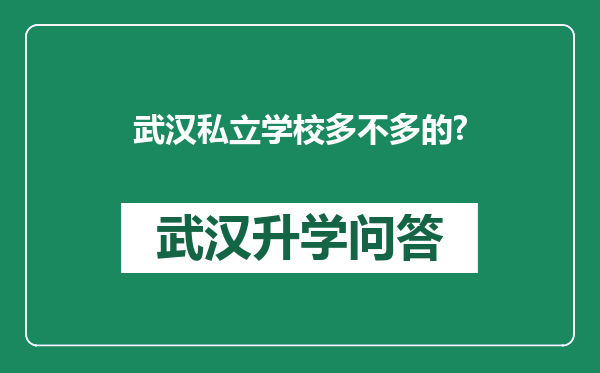 武汉私立学校多不多的?