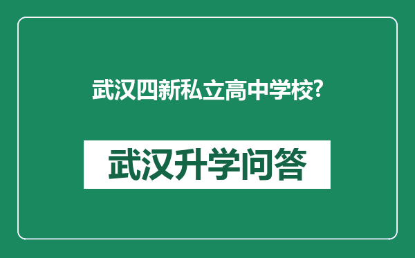 武汉四新私立高中学校?