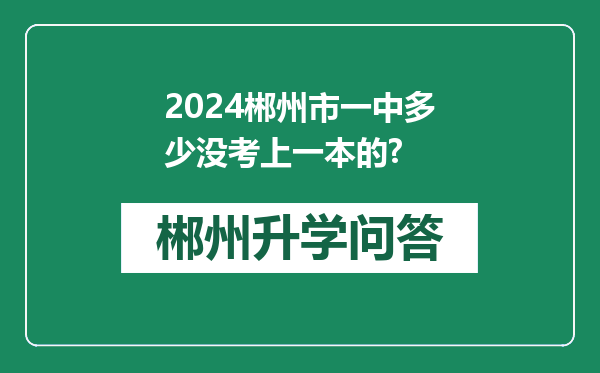2024郴州市一中多少没考上一本的?