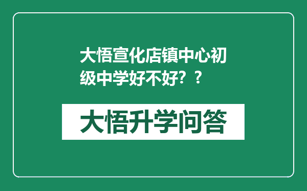 大悟宣化店镇中心初级中学好不好？?
