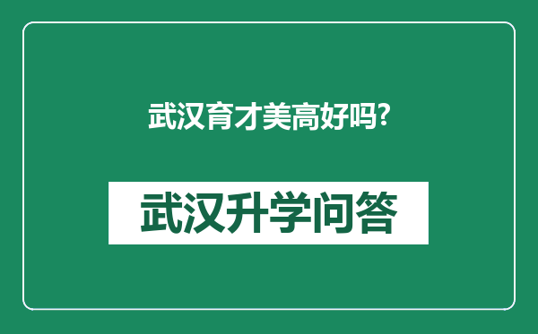 武汉育才美高好吗?
