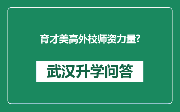 育才美高外校师资力量?