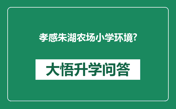 孝感朱湖农场小学环境?