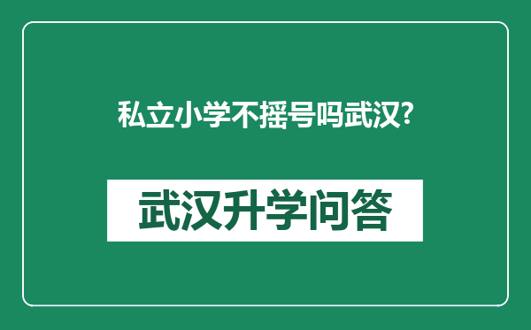 私立小学不摇号吗武汉?