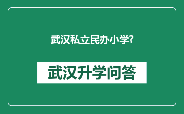 武汉私立民办小学?