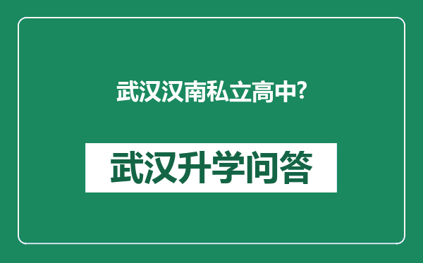 武汉汉南私立高中?