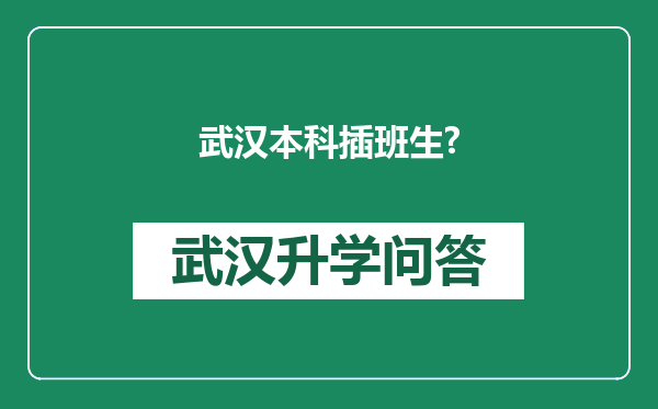 武汉本科插班生?