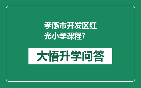 孝感市开发区红光小学课程?