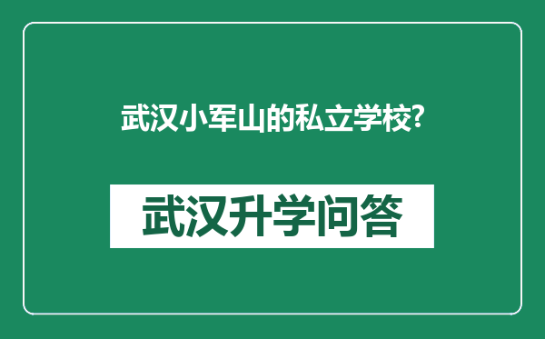 武汉小军山的私立学校?