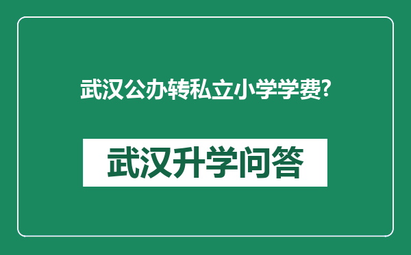 武汉公办转私立小学学费?