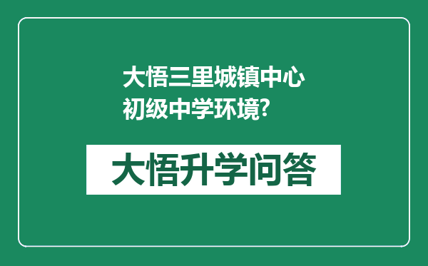 大悟三里城镇中心初级中学环境?