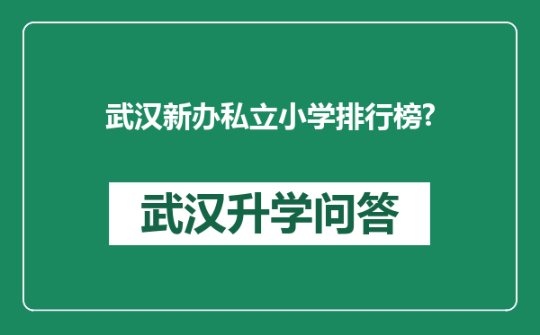 武汉新办私立小学排行榜?