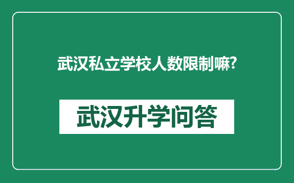 武汉私立学校人数限制嘛?
