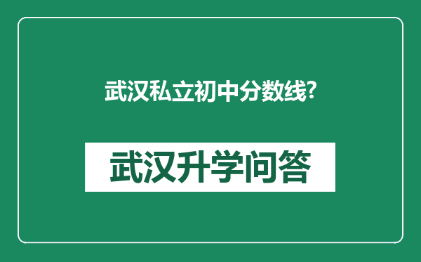 武汉私立初中分数线?