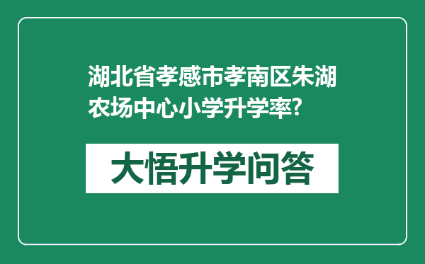 湖北省孝感市孝南区朱湖农场中心小学升学率?