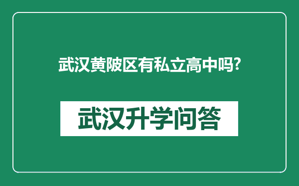 武汉黄陂区有私立高中吗?