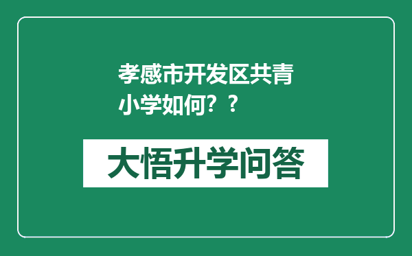 孝感市开发区共青小学如何？?
