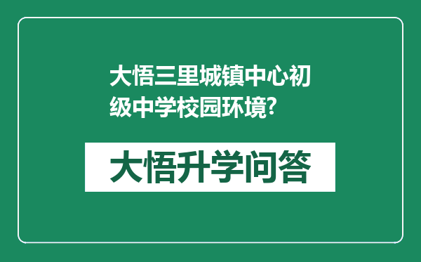 大悟三里城镇中心初级中学校园环境?