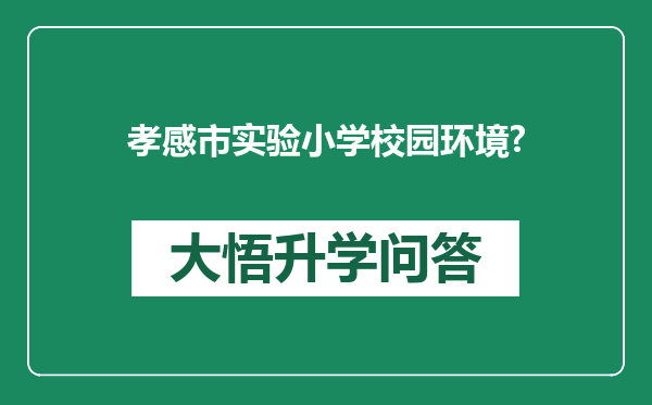 孝感市实验小学校园环境?