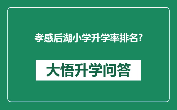 孝感后湖小学升学率排名?