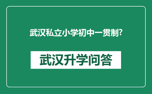 武汉私立小学初中一贯制?